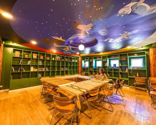 Museum Library
