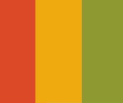 Belonging Restitution, Dignity, and Radical Care in Collections